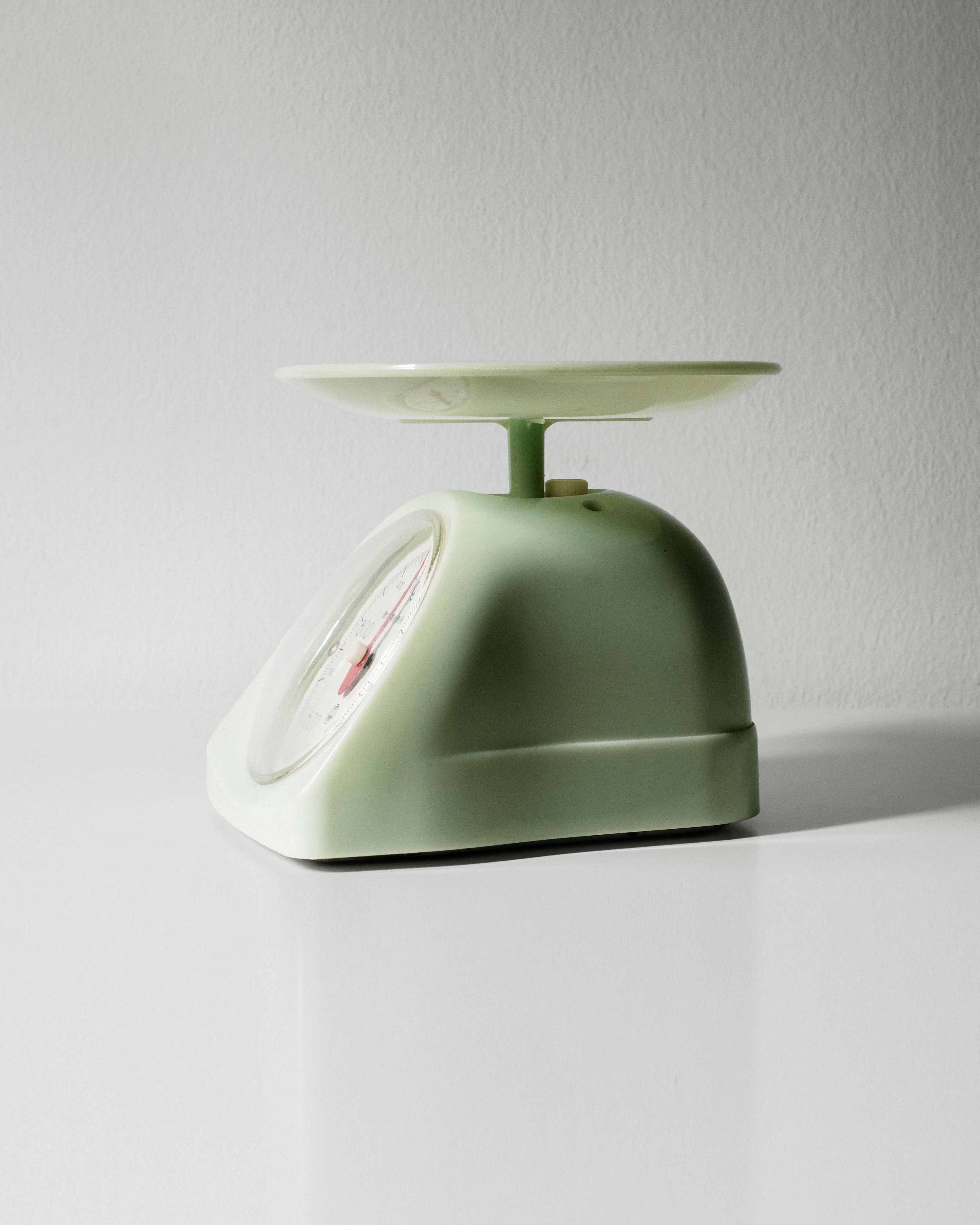 01_Camry Kitchen Scale