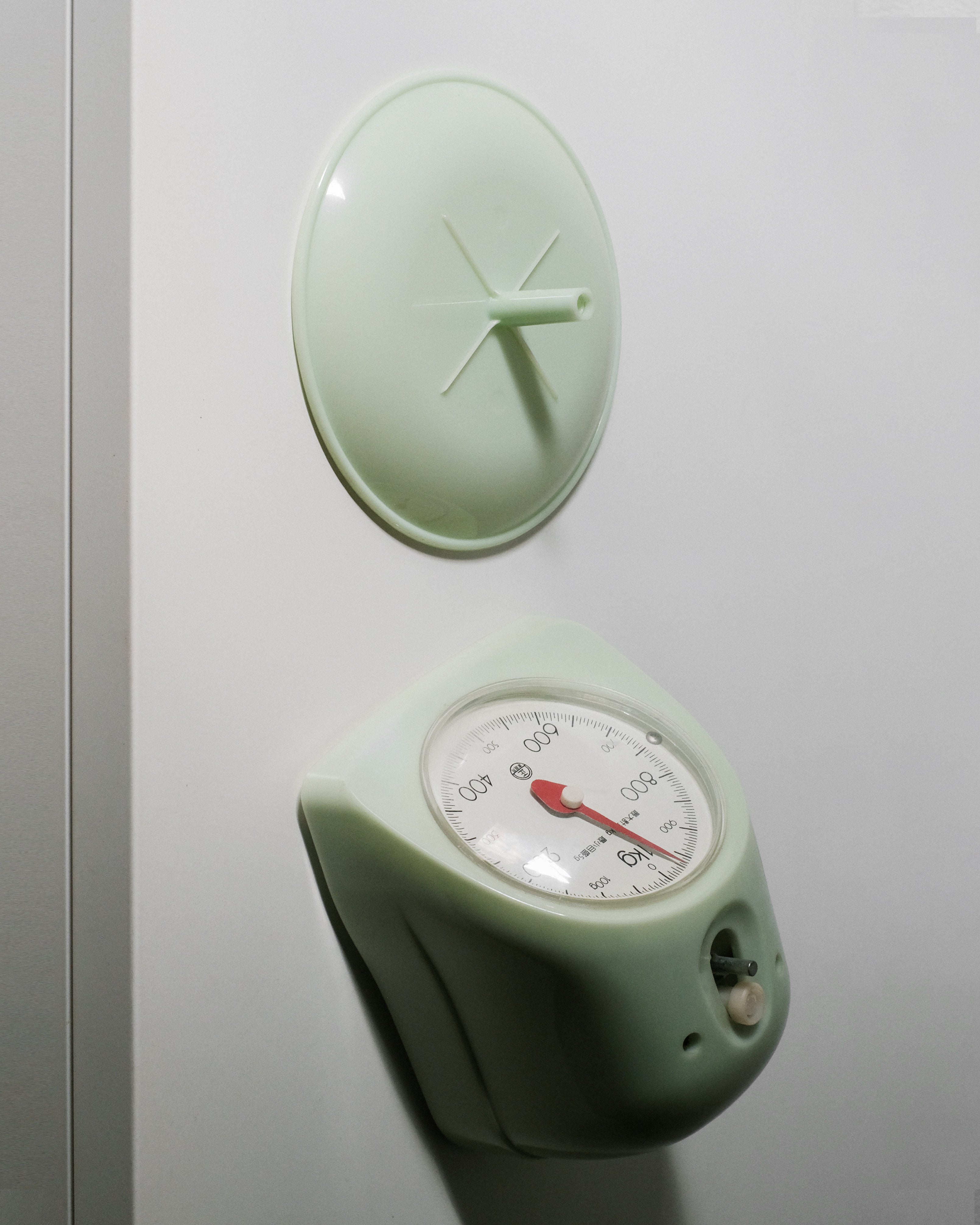 01_Camry Kitchen Scale