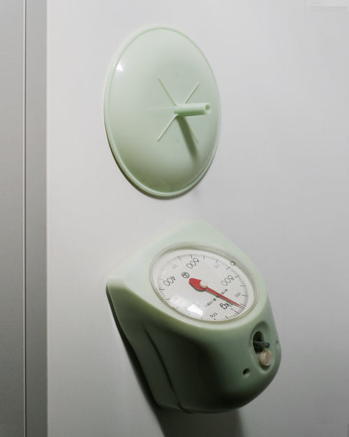 01_Camry Kitchen Scale