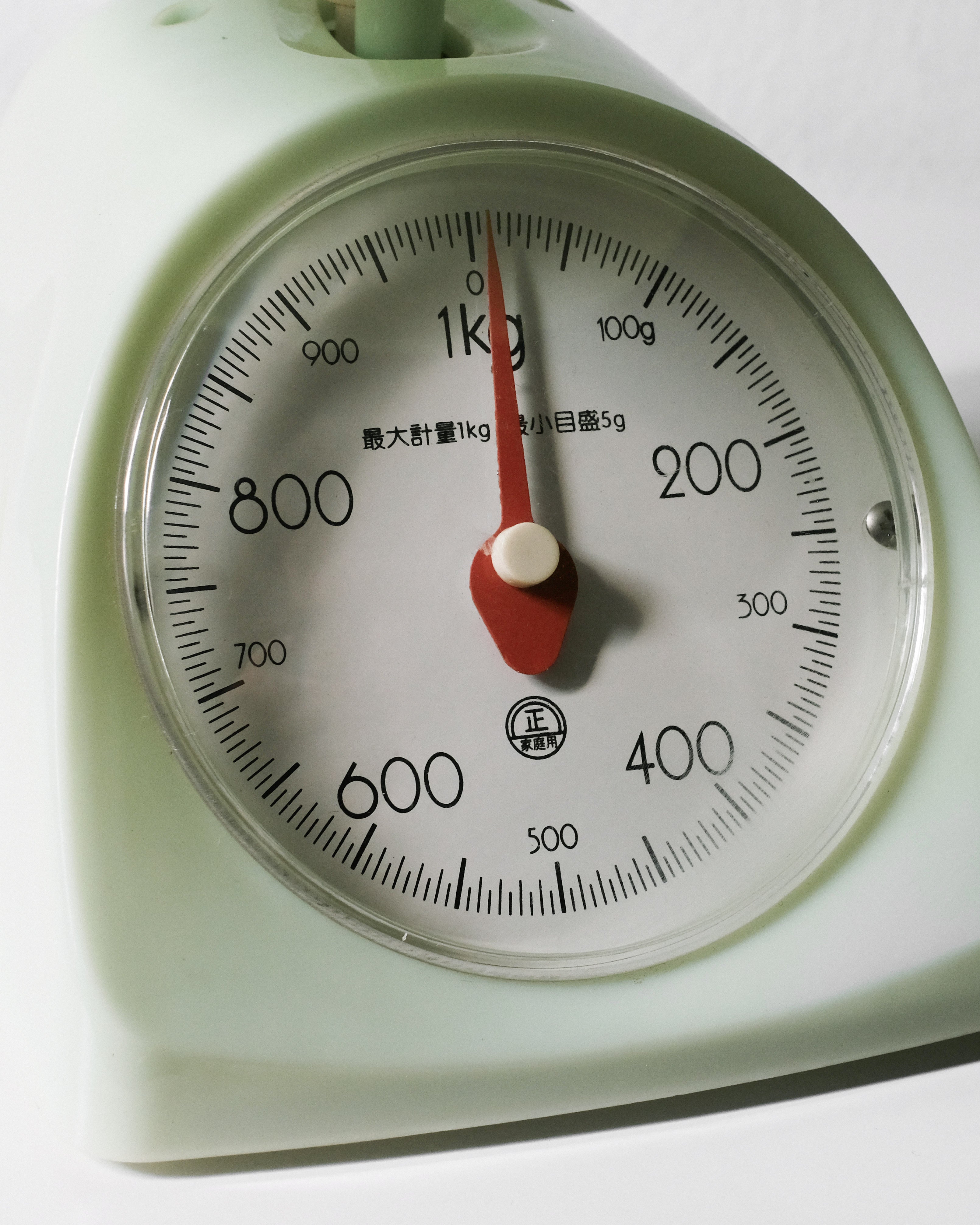 01_Camry Kitchen Scale
